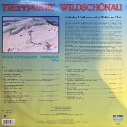 Auffacher musikanten - mit'n Michlbauer flori - Treffpunkt Wildschönau