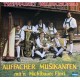 Auffacher musikanten - mit'n Michlbauer flori - Treffpunkt Wildschönau