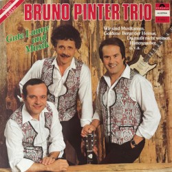 Bruno Pinter Trio – Gute Laune und Musik