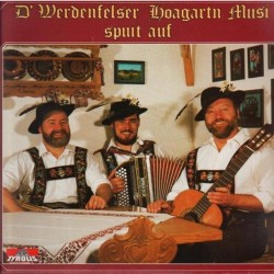 D' Werdenfelser Hoagartn Musi spuit auf