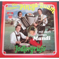 Die Echten Pinzga Buam Mit Dem Flotten Mandi  ‎– Jodlergrüße