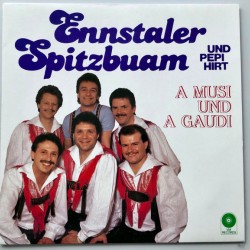 Ennstaler Spitzbuam Und Pepi Hirt ‎– A Musi Und A Gaudi