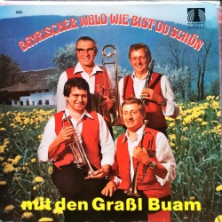 Graßl Buam ‎– Bayrischer Wald Wie Bist Du Schön