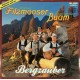 Original Filzmooser Buam ‎– Bergzauber