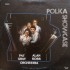 Pat Gray, Alan Koss – Polka Showcase