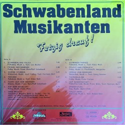 Schwabenland Musikanten - Fetzig drauf!
